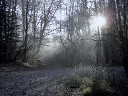 un bo soleil matinal